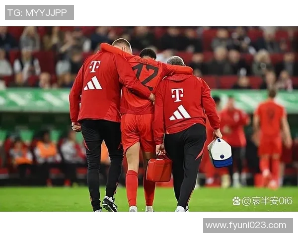 拜仁慕尼黑——德甲王者，稳居榜首的不败之师