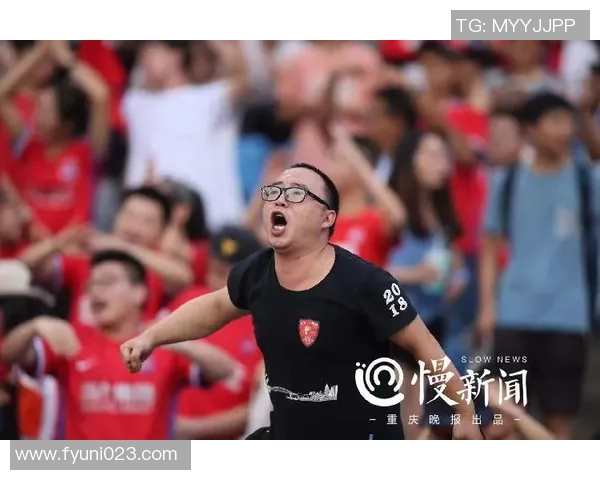 汉诺威96连胜,冲击保级成功的希望再次燃起 汉诺威96连胜,冲击保级成功的希望再次燃起