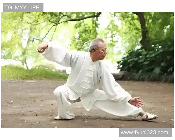 太极拳中经典招式名称解析与练习技巧分享