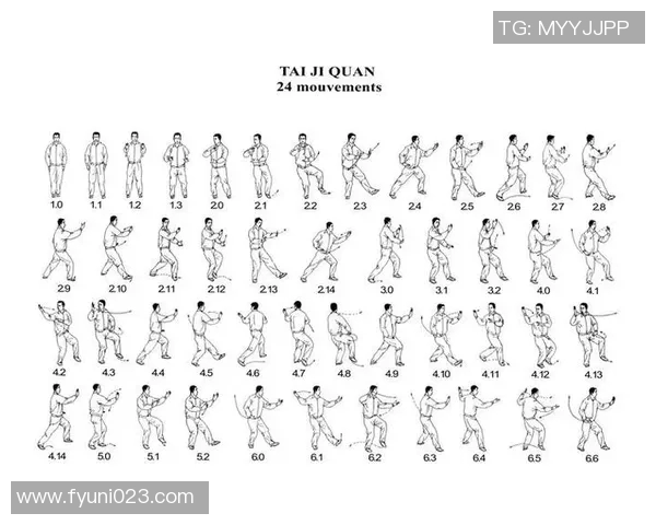 太极拳动作分解详解与练习技巧分享助你提升内功与身心协调能力